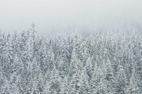 How to Build a REST API with Fastify and TypeScript in 2026